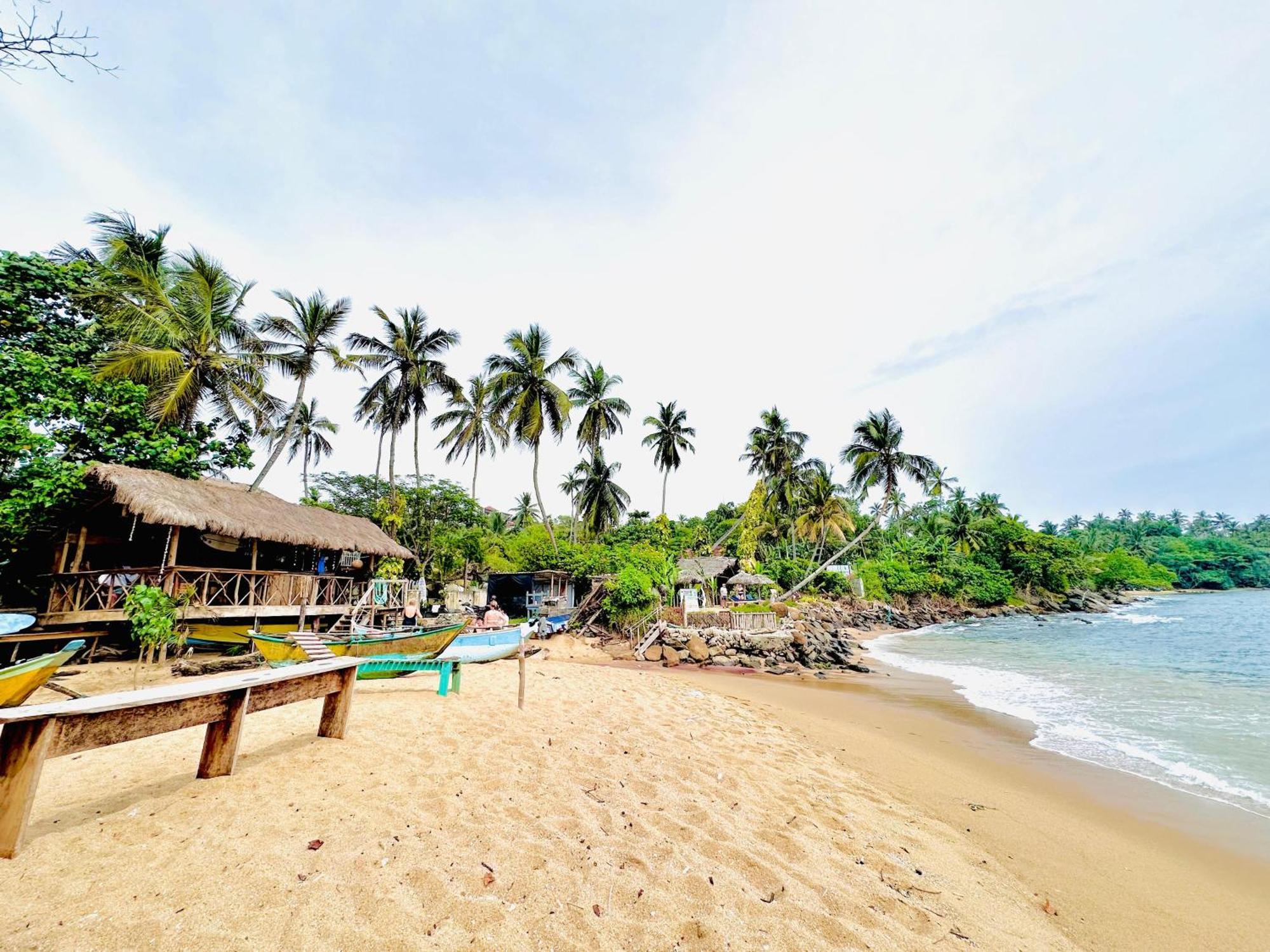 Homestay Solace - 5 Min Walk To *